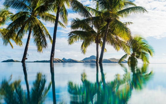 tokoriki island resort Palm Tree Reflection at Tokoriki Island Resort