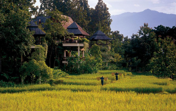 four-seasons-culinary-discoveries-chiang-mai