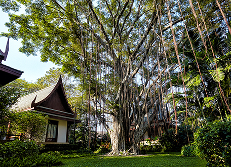 a-taste-of-chiva-som