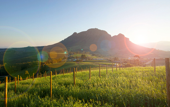 sunrise-over-the-delair-graffe-estate