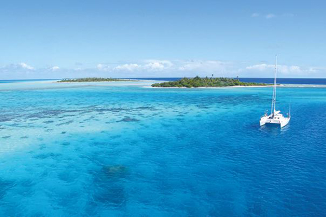 TropicalTreats_CARIB_DigitalTemplate_FINAL_DetailTextFree