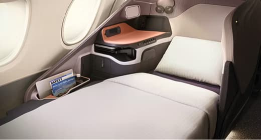 Singapore Airlines to Dubai Business Class - Image 1
