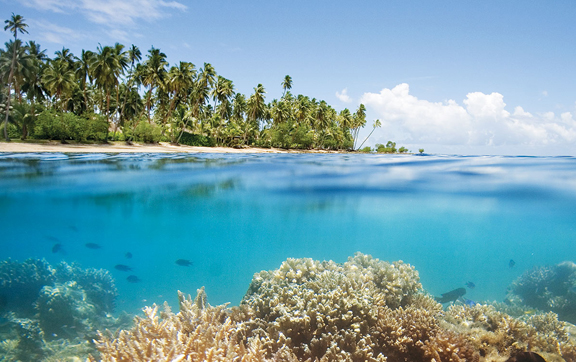 Jean Michel Cousteau resort